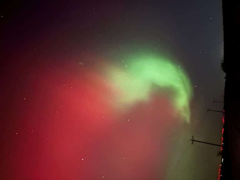 IMG 1846 768x576